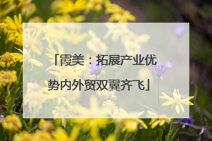 霞美：拓展产业优势内外贸双翼齐飞