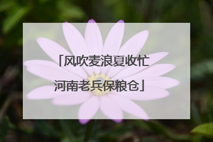 风吹麦浪夏收忙 河南老兵保粮仓