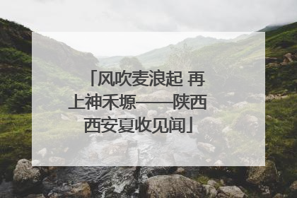 风吹麦浪起 再上神禾塬——陕西西安夏收见闻