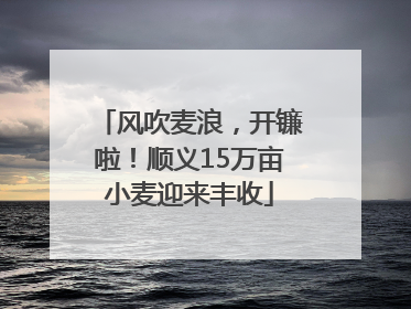 风吹麦浪，开镰啦！顺义15万亩小麦迎来丰收