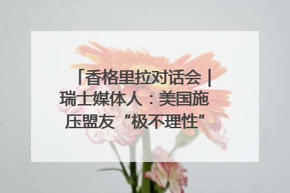 香格里拉对话会｜瑞士媒体人：美国施压盟友“极不理性” 欧洲国家无意与中国“脱钩断链”