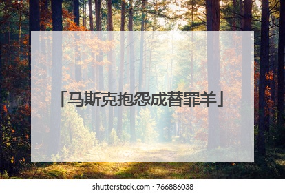 马斯克抱怨成替罪羊