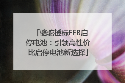 骆驼橙标EFB启停电池：引领高性价比启停电池新选择