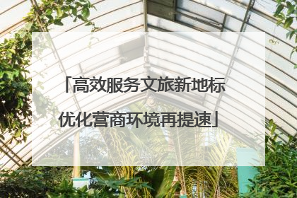 高效服务文旅新地标 优化营商环境再提速