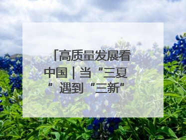 高质量发展看中国｜当“三夏”遇到“三新”：看南北田野里的科技共生记