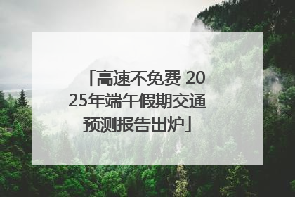 高速不免费 2025年端午假期交通预测报告出炉