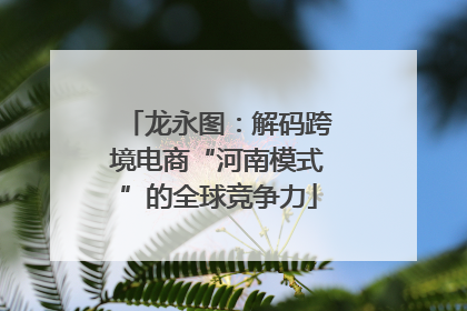 龙永图：解码跨境电商“河南模式”的全球竞争力