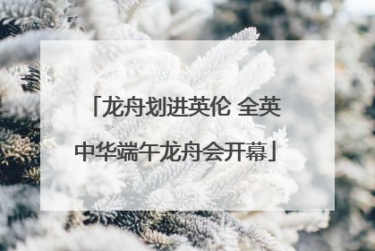 龙舟划进英伦 全英中华端午龙舟会开幕