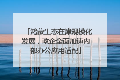 鸿蒙生态在津规模化发展，政企全面加速内部办公应用适配