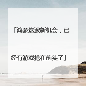 鸿蒙这波新机会，已经有游戏抢在前头了