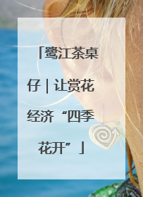 鹭江茶桌仔｜让赏花经济“四季花开”