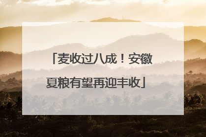 麦收过八成！安徽夏粮有望再迎丰收