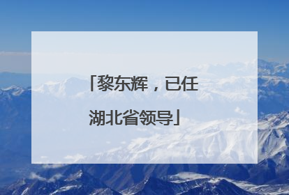 黎东辉，已任湖北省领导