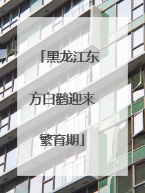 黑龙江东方白鹳迎来繁育期