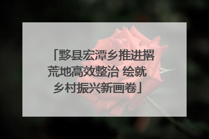 黟县宏潭乡推进撂荒地高效整治 绘就乡村振兴新画卷