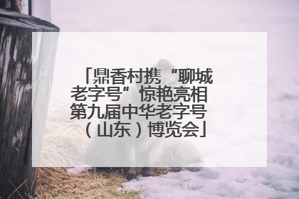 鼎香村携“聊城老字号”惊艳亮相第九届中华老字号（山东）博览会