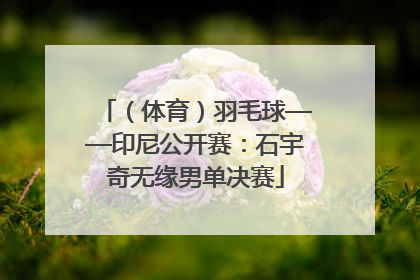 （体育）羽毛球——印尼公开赛：石宇奇无缘男单决赛