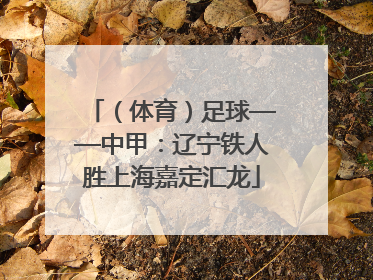 （体育）足球——中甲：辽宁铁人胜上海嘉定汇龙