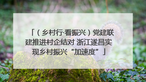 （乡村行·看振兴）党建联建推进村企结对 浙江遂昌实现乡村振兴“加速度”