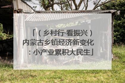 （乡村行·看振兴）内蒙古乡镇经济新变化：小产业累积大民生