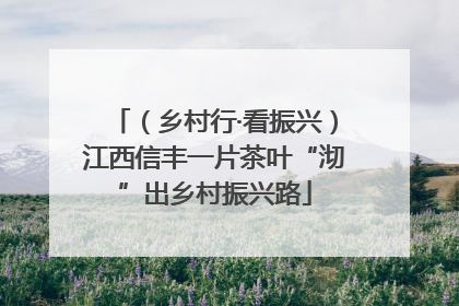 （乡村行·看振兴）江西信丰一片茶叶“沏”出乡村振兴路