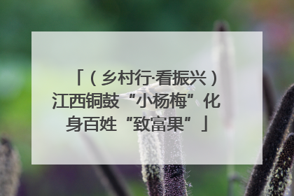 （乡村行·看振兴）江西铜鼓“小杨梅”化身百姓“致富果”