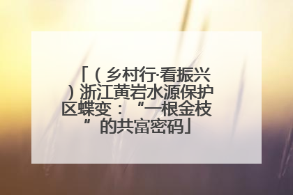 （乡村行·看振兴）浙江黄岩水源保护区蝶变：“一根金枝”的共富密码