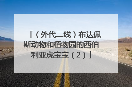 （外代二线）布达佩斯动物和植物园的西伯利亚虎宝宝（2）