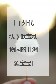 （外代二线）欧宝动物园的非洲象宝宝