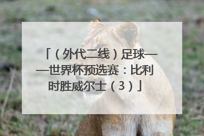 （外代二线）足球——世界杯预选赛：比利时胜威尔士（3）