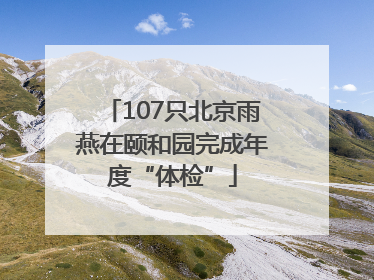 107只北京雨燕在颐和园完成年度“体检”