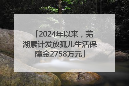 2024年以来，芜湖累计发放孤儿生活保障金2758万元
