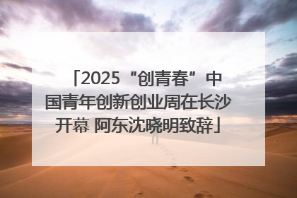 2025“创青春”中国青年创新创业周在长沙开幕 阿东沈晓明致辞