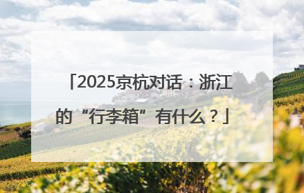 2025京杭对话：浙江的“行李箱”有什么？