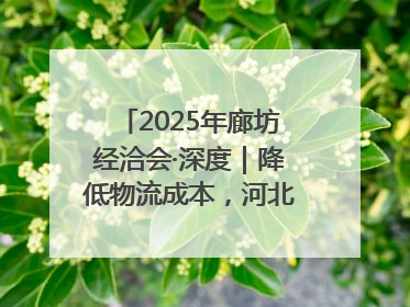 2025年廊坊经洽会·深度｜降低物流成本，河北物流集团找到一把“金钥匙”