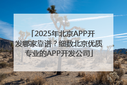 2025年北京APP开发哪家靠谱？细数北京优质专业的APP开发公司