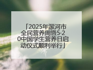 2025年漯河市全民营养周暨5·20中国学生营养日启动仪式顺利举行