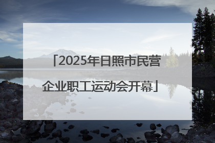 2025年日照市民营企业职工运动会开幕