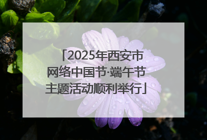 2025年西安市网络中国节·端午节主题活动顺利举行