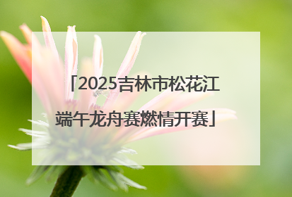 2025吉林市松花江端午龙舟赛燃情开赛