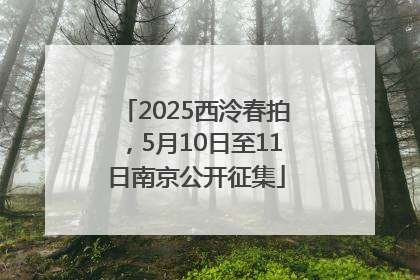 2025西泠春拍，5月10日至11日南京公开征集