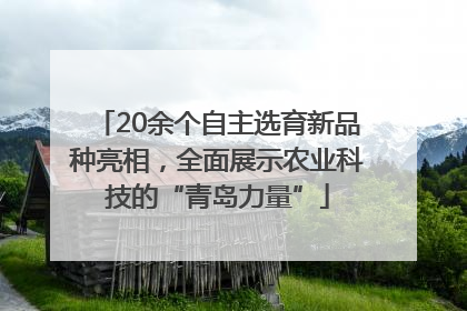 20余个自主选育新品种亮相，全面展示农业科技的“青岛力量”