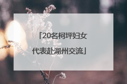 20名柯坪妇女代表赴湖州交流