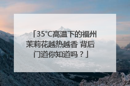 35℃高温下的福州茉莉花越热越香 背后门道你知道吗？