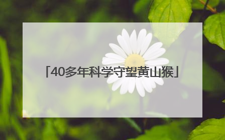 40多年科学守望黄山猴