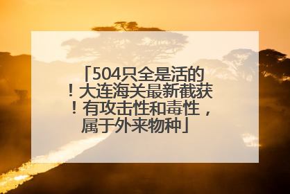 504只全是活的！大连海关最新截获！有攻击性和毒性，属于外来物种