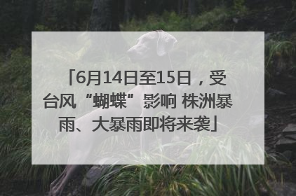 6月14日至15日，受台风“蝴蝶”影响 株洲暴雨、大暴雨即将来袭