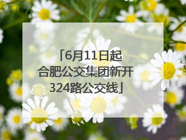 6月11日起 合肥公交集团新开324路公交线