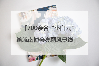 700余名“小白云”绘就南博会亮丽风景线