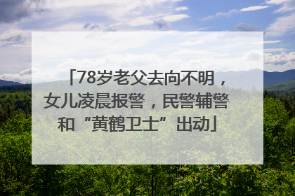 78岁老父去向不明，女儿凌晨报警，民警辅警和“黄鹤卫士”出动